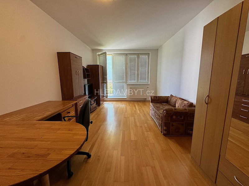 Pronájem bytu 1+kk 30 m² – fotografie 4