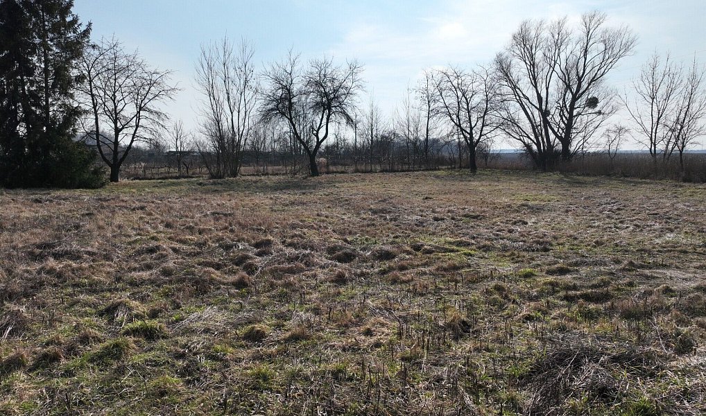 Prodej stavebního pozemku 1 185 m², Uničov – náhled fotky 3