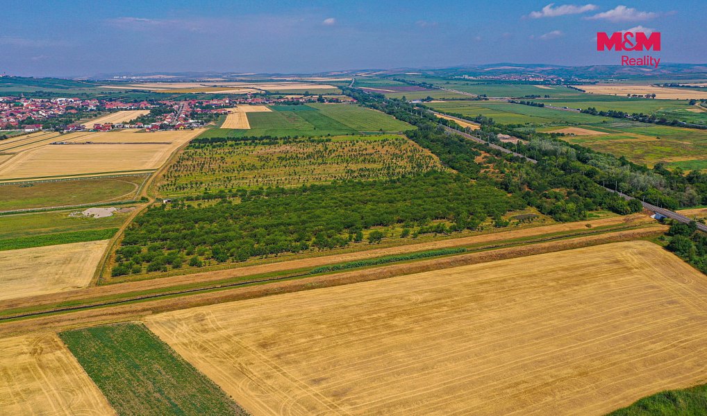 Prodej pole 12 442 m², Rakvice – náhled fotky 11