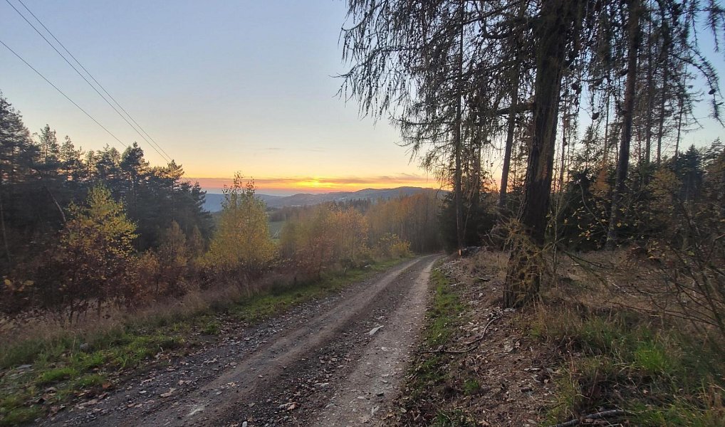 Prodej louky 6 834 m², Železný Brod – náhled fotky 7