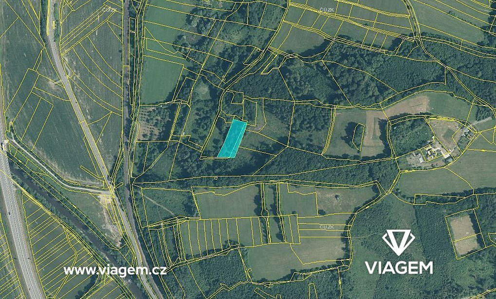 Prodej lesa 921 m² – fotografie 3