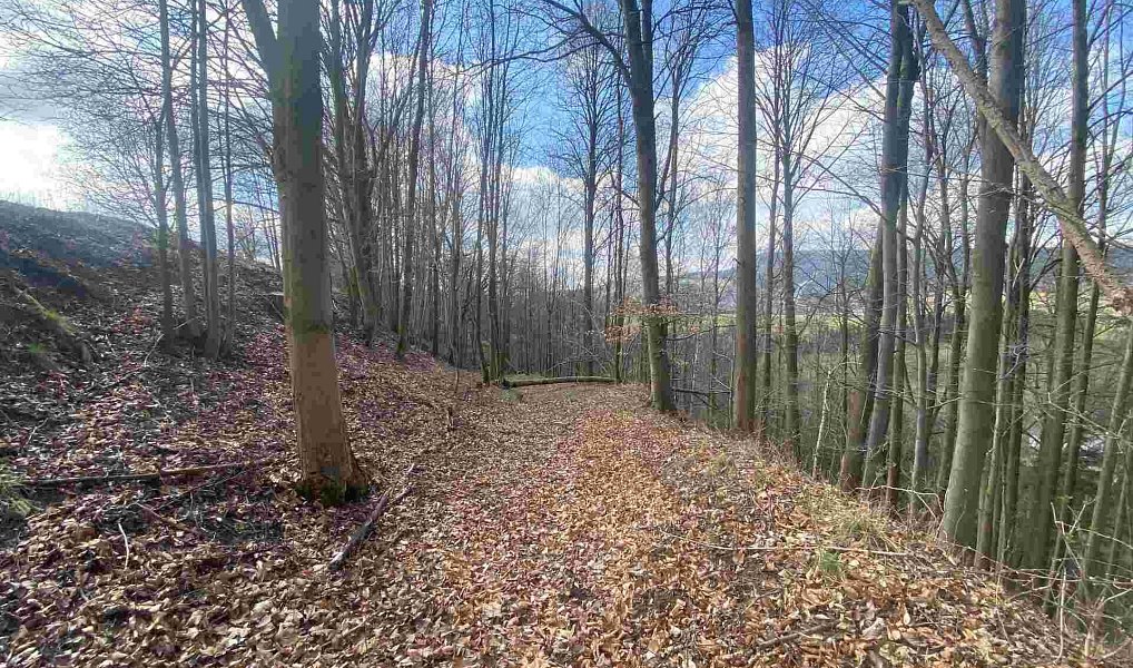 Prodej pozemku 5 185 m², Teplice nad Metují – náhled fotky 6