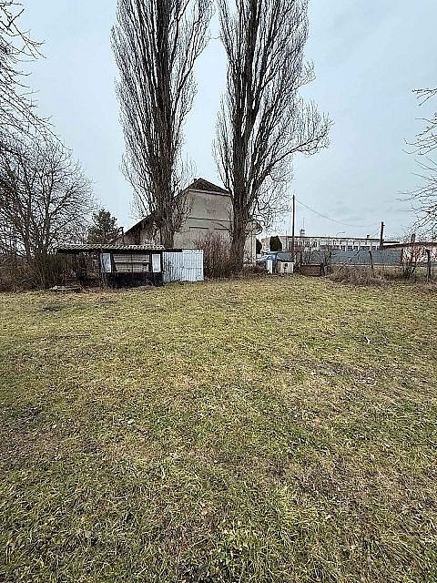 Fotka 9 z 10