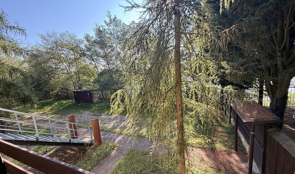 Prodej chaty/chalupy 180 m² s pozemkem 694 m², Račice – náhled fotky 45