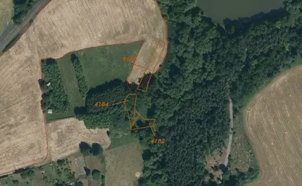 Dražba louky 1 549 m², Lom u Tachova