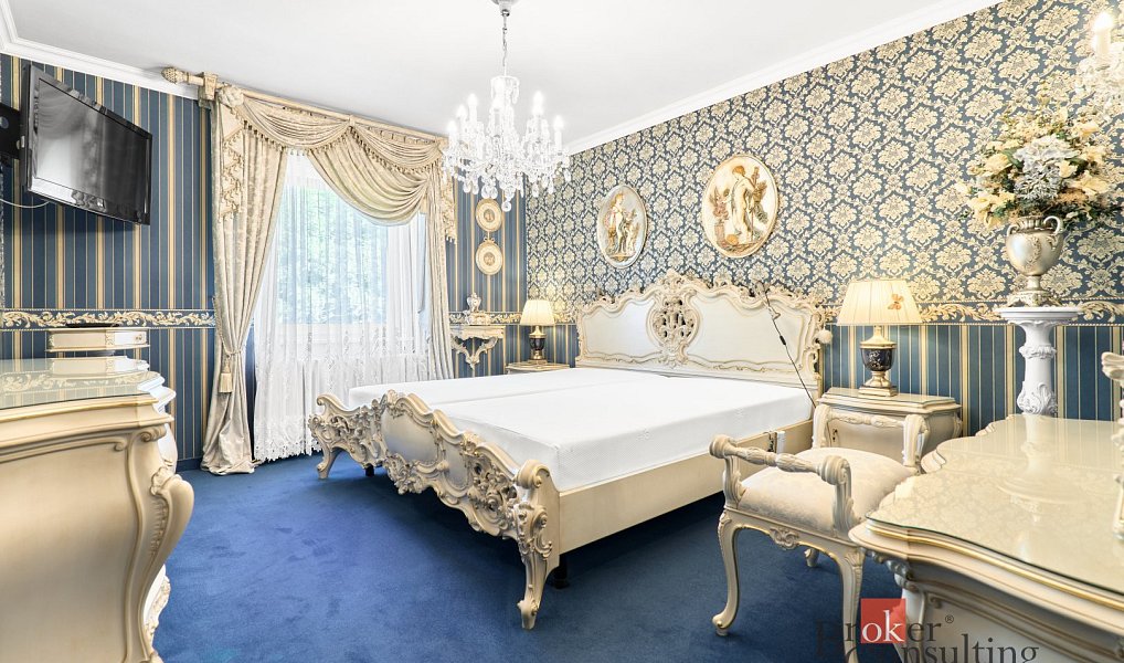 Pronájem domu 388 m² s pozemkem 2 802 m², Karlovy Vary – náhled fotky 7