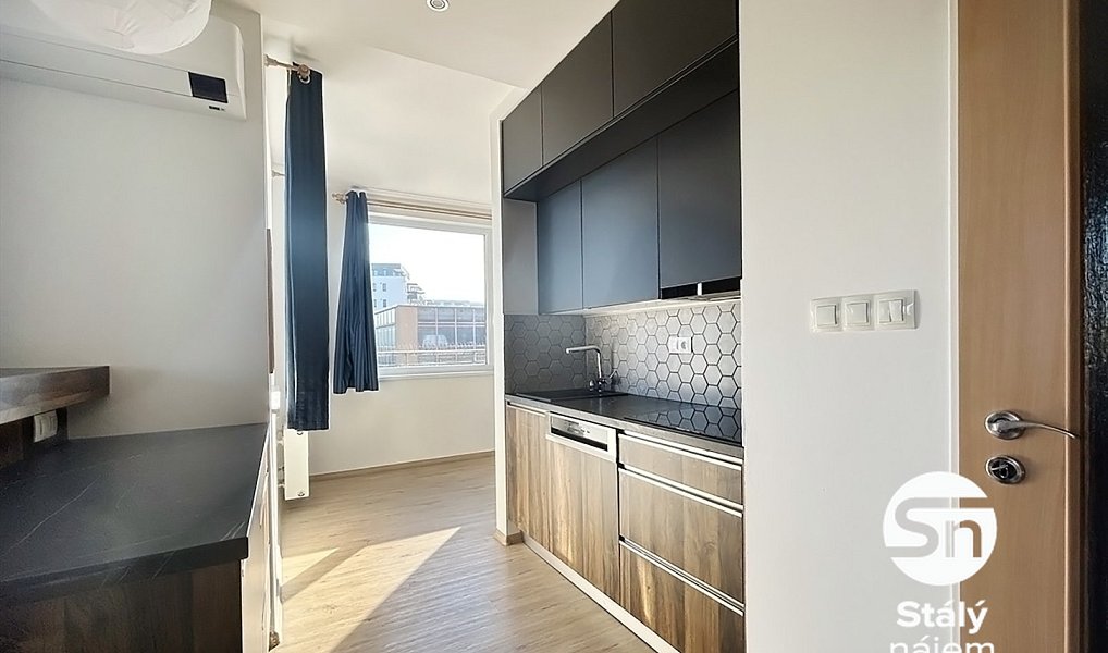 Pronájem bytu 1+kk 40 m², Praha – náhled fotky 3