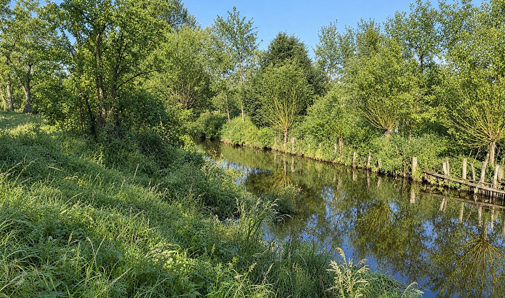Prodej stavebního pozemku 1 890 m², Pohořelice – náhled fotky 7