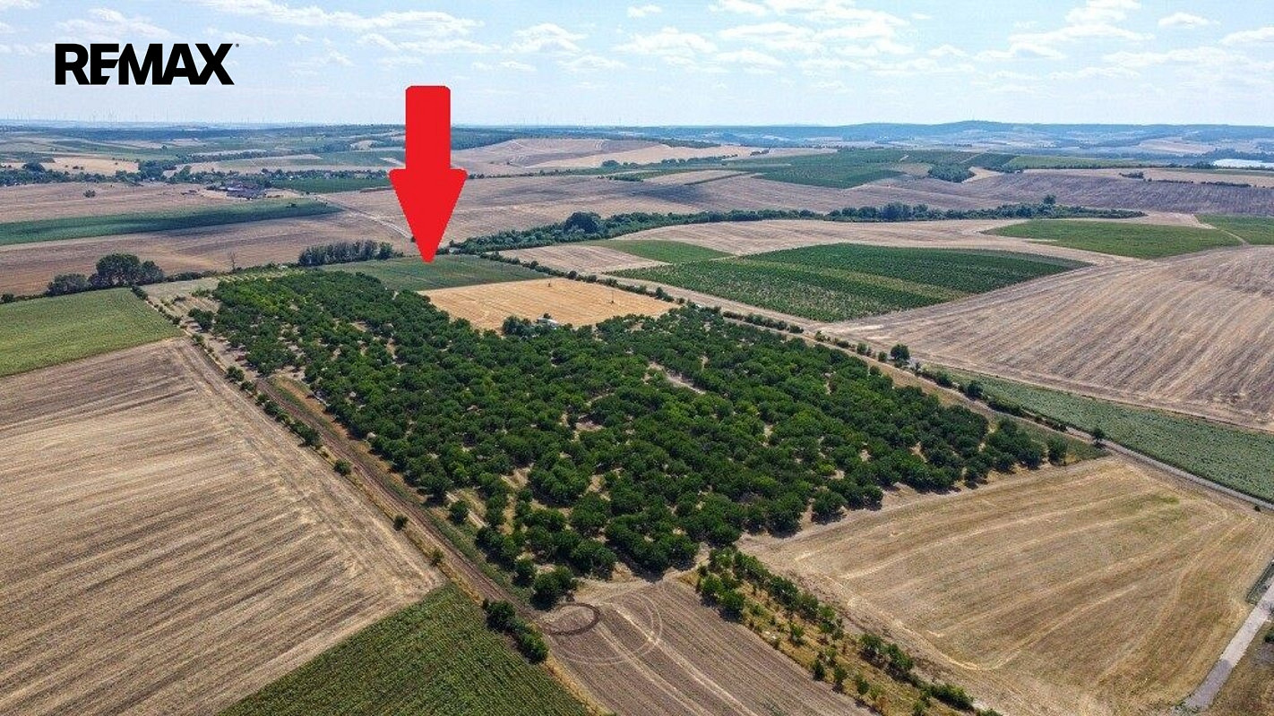 Prodej pozemku 39 611 m² – fotografie 3