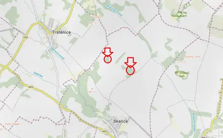 Prodej lesa 1 312 m², Skalice - Horní Bříza