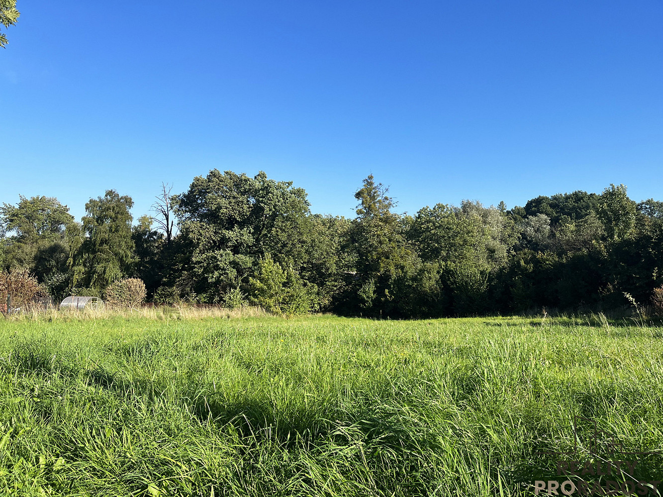Prodej komerčního pozemku 2 450 m² – fotografie 2