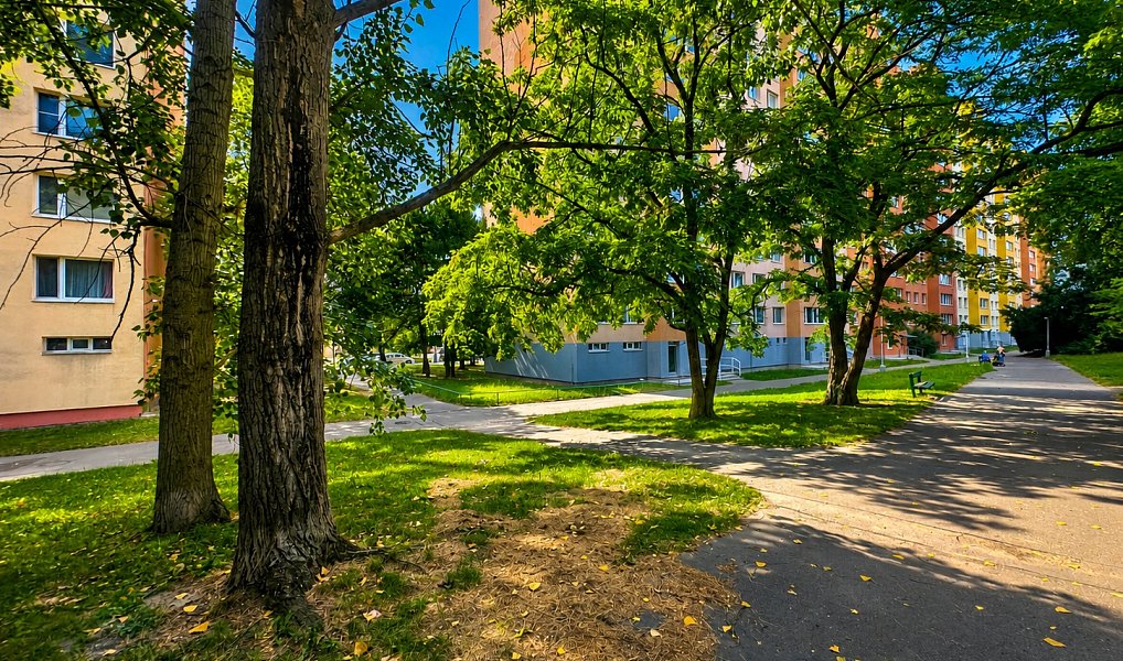 Prodej bytu 2+kk 43 m², Praha – náhled fotky 39