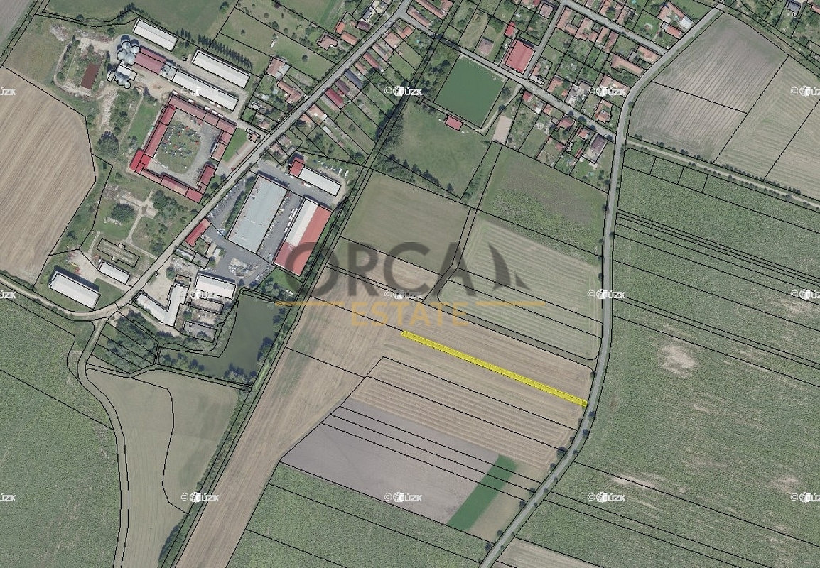 Prodej pole 1 306 m² – fotografie 2