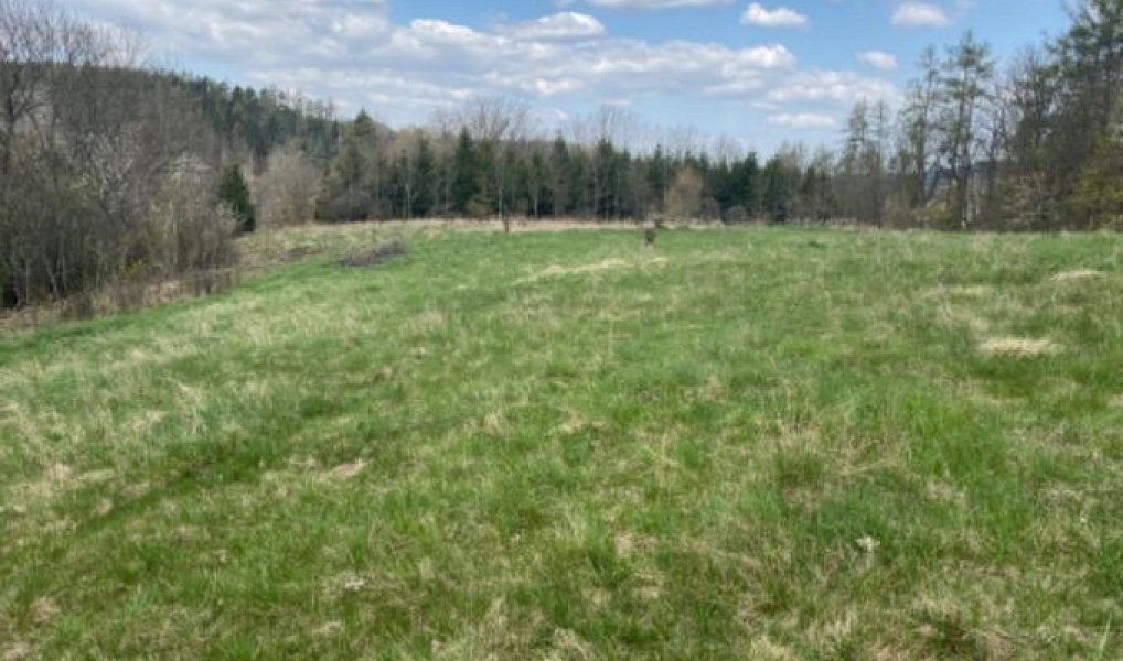 Prodej stavebního pozemku 7 630 m², Sázava – náhled fotky 2