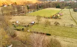 Ostatní