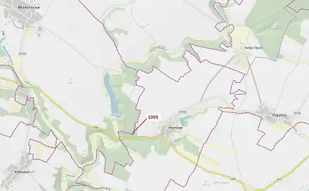 Dražba lesa 1 427 m², Hornice