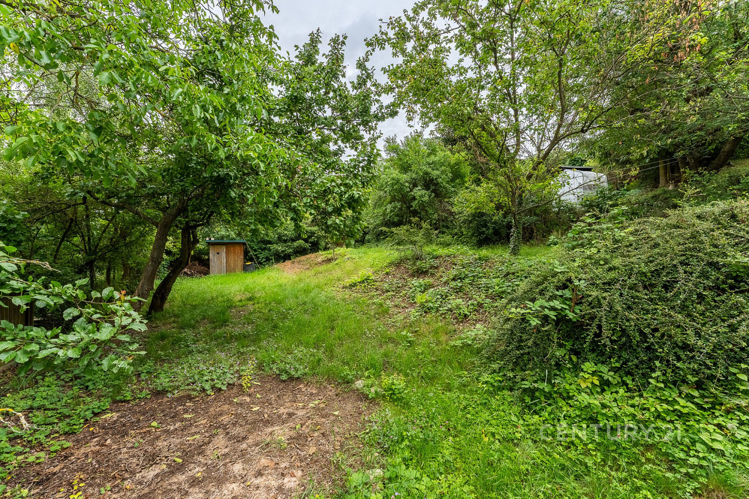 Prodej zahrady 327 m² — photo 2