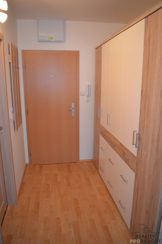 1+kk Apartment in Velká Bíteš, Janovice - More