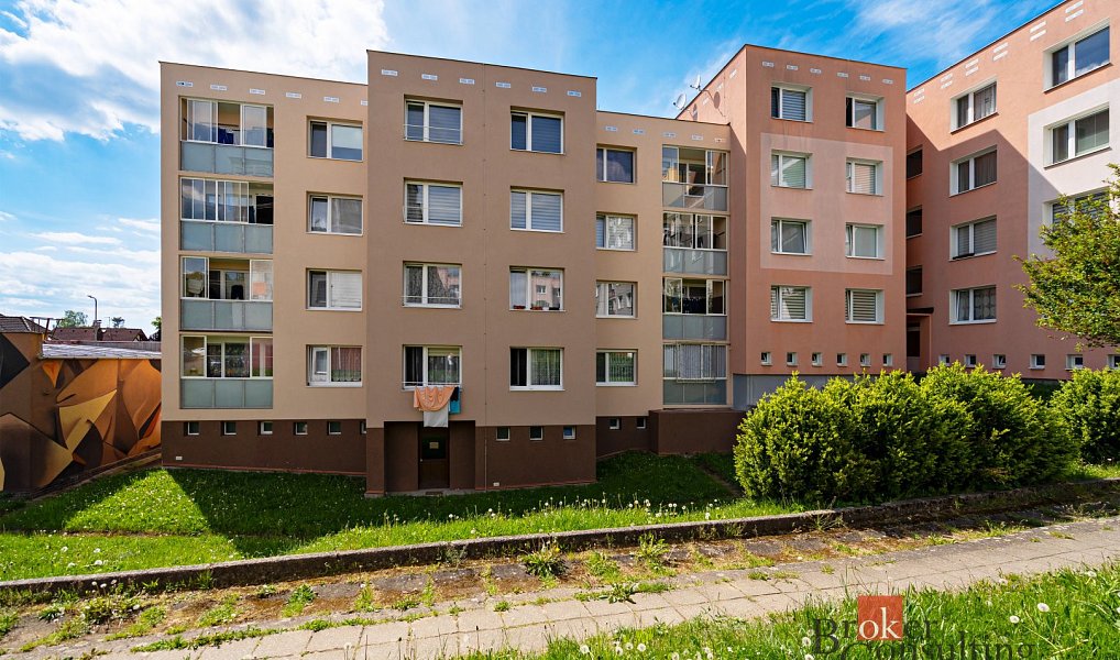 Prodej bytu 4+1 96 m², Planá – náhled fotky 26