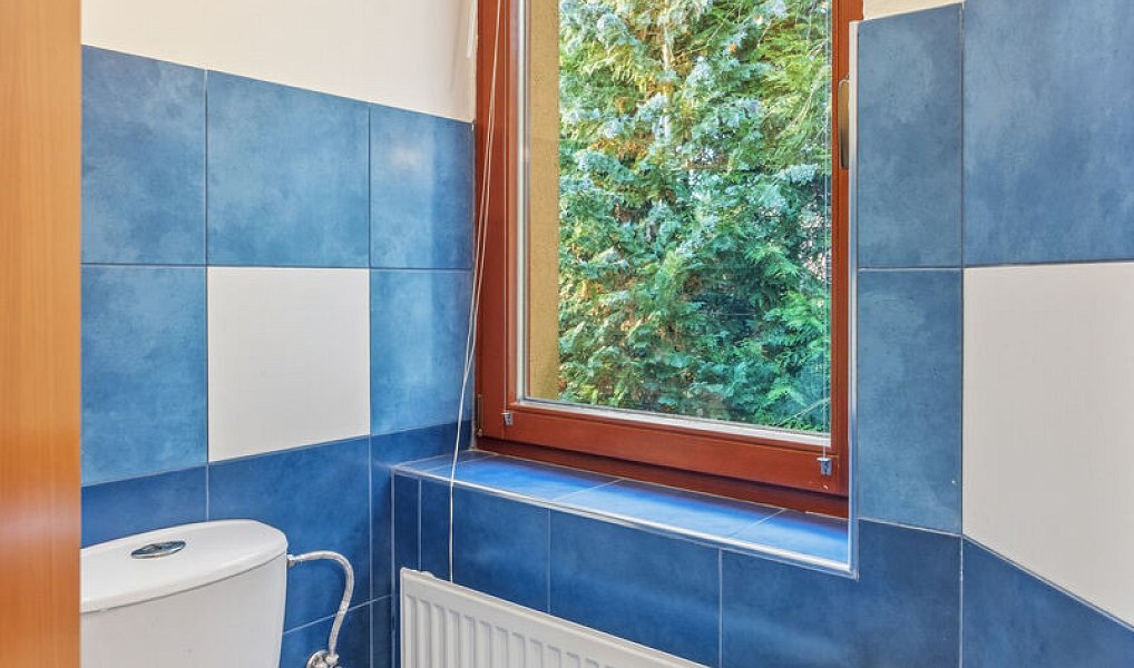 Prodej domu 311 m² s pozemkem 4 029 m², Velké Popovice – náhled fotky 32