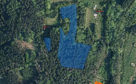 Prodej lesa 1 653 m², Jablonec nad Jizerou, okres Semily