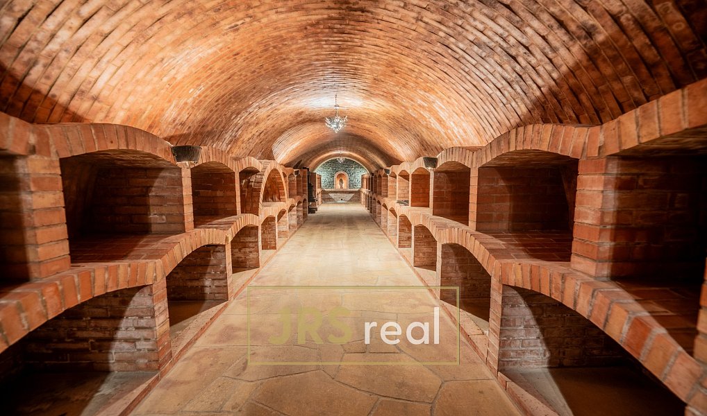 Prodej domu 468 m² s pozemkem 176 m², Čejkovice – náhled fotky 9