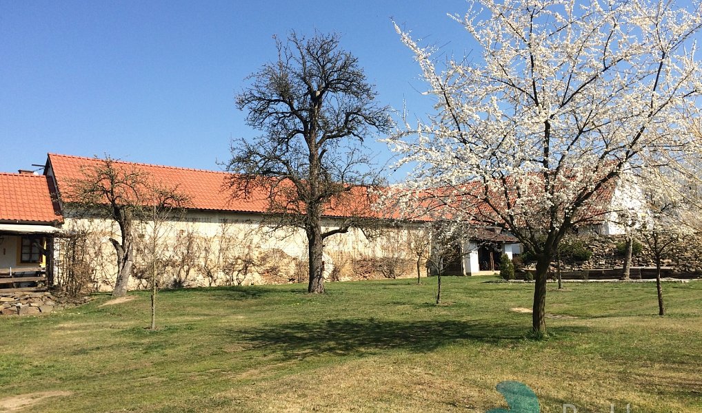 Prodej komerčního objektu (jiného typu) 726 m², Skrýchov u Malšic – náhled fotky 28