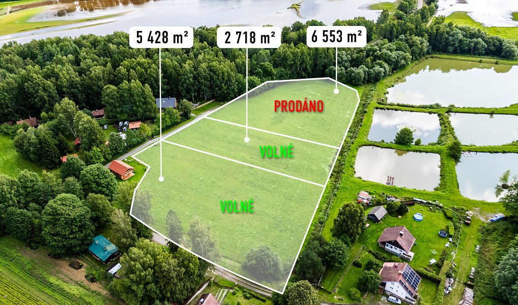 Prodej pozemku 9 752 m², Nová Pec – náhled fotky 2