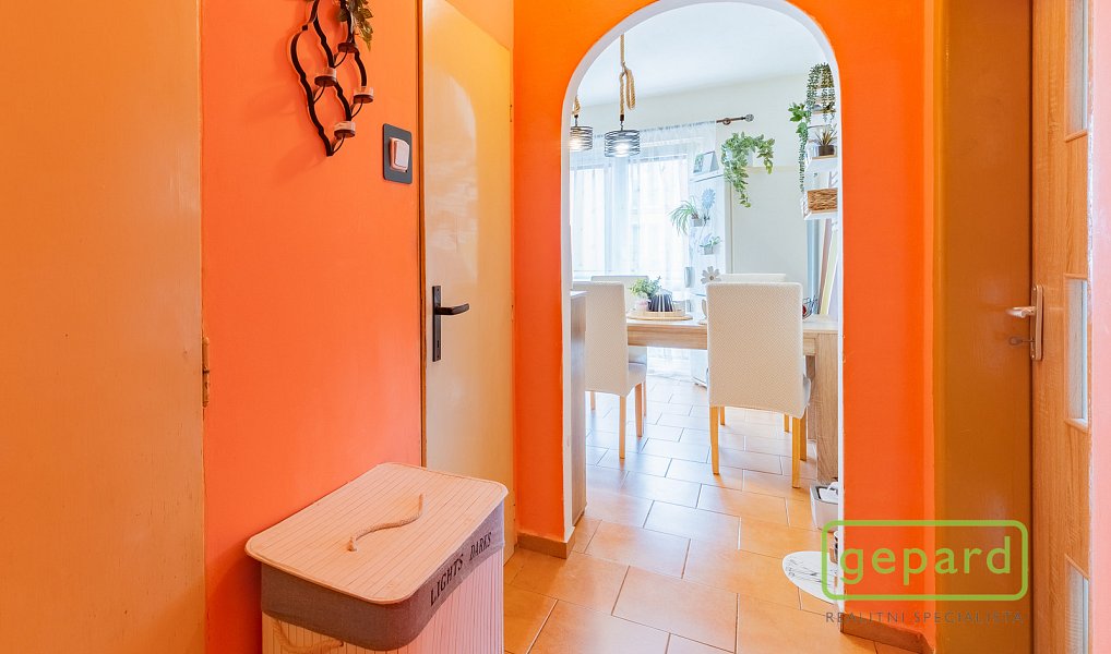 Prodej bytu 2+1 54 m², Ostrov – náhled fotky 19