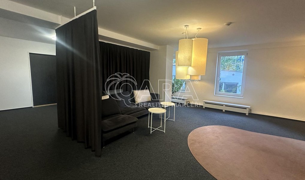 Pronájem bytu 1+kk 23 m², Praha – náhled fotky 11