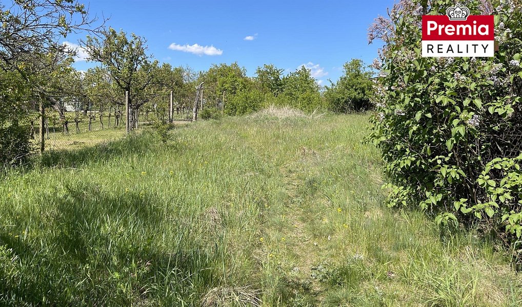 Prodej zahrady 2 423 m², Znojmo – náhled fotky 4