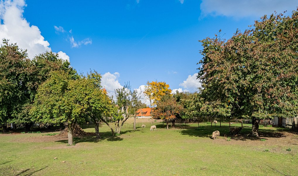 Prodej nájemního domu, činžáku 700 m², Chlumec nad Cidlinou – náhled fotky 9