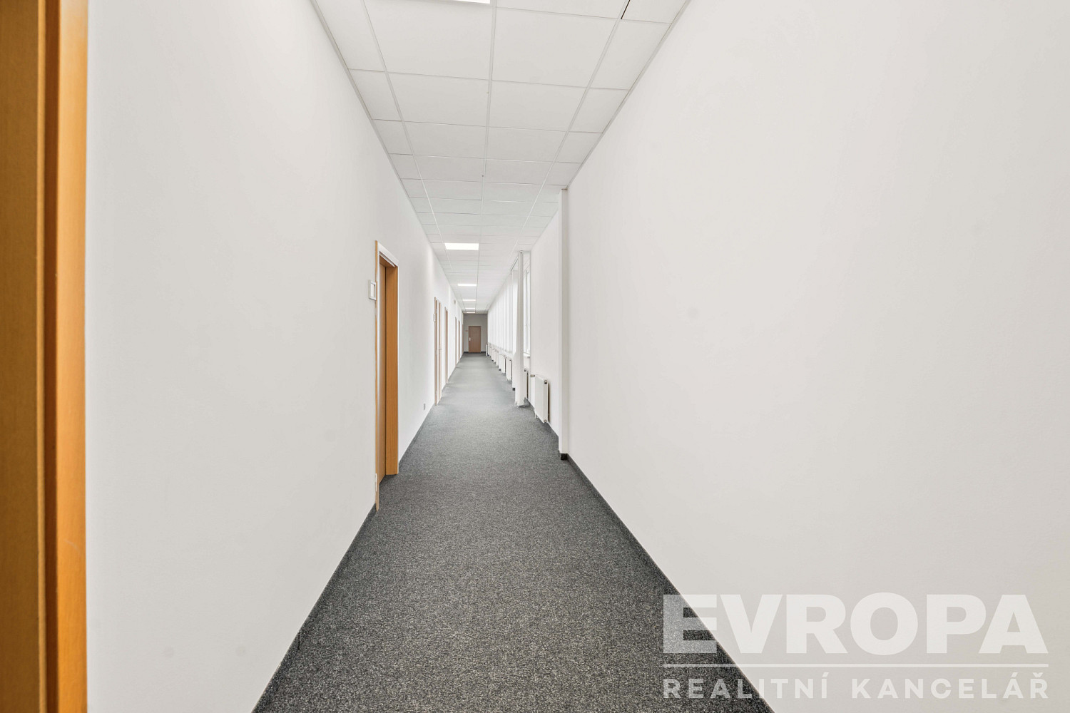 Pronájem kanceláře 20 m² – fotografie 5
