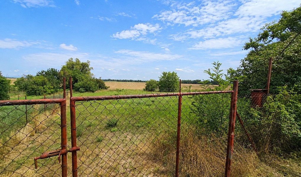Prodej stavebního pozemku 4 308 m², Dyjákovice – náhled fotky 6