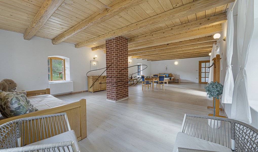 Prodej domu 594 m² s pozemkem 13 331 m², Olešná – náhled fotky 46