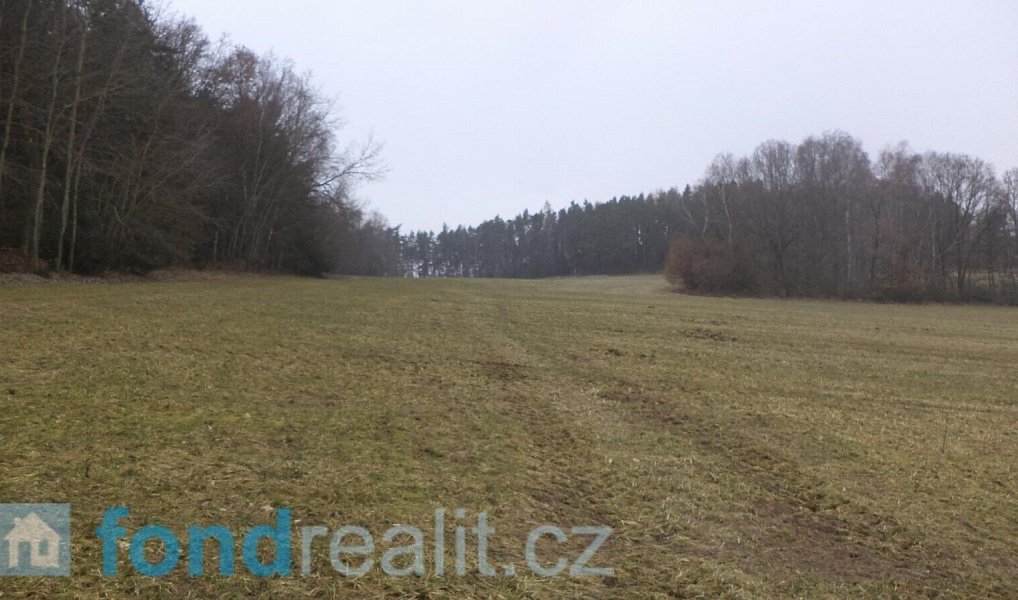 Prodej pole 41 964 m², Zvěstov – náhled fotky 9