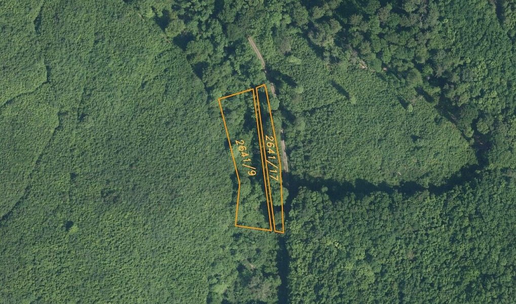Prodej pole 3 207 m², Ždánice – náhled fotky 5
