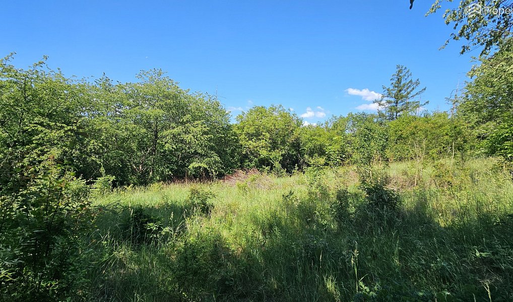 Prodej stavebního pozemku 1 845 m², Letovice – náhled fotky 6