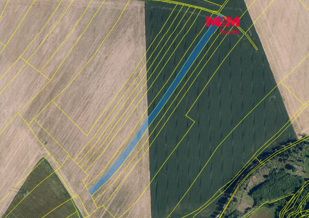 Prodej pole 6 266 m²
