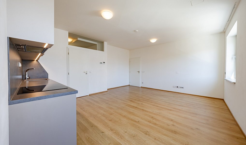 Pronájem bytu 3+kk 60 m², Uherské Hradiště – náhled fotky 4