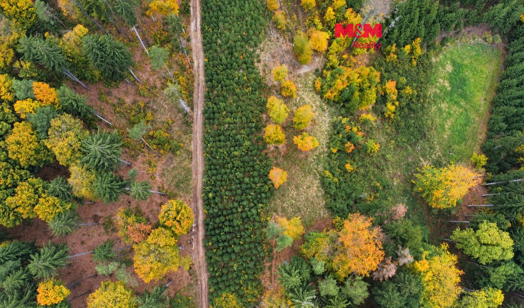 Prodej lesa 4 481 m², Luže – fotka 1 z 5