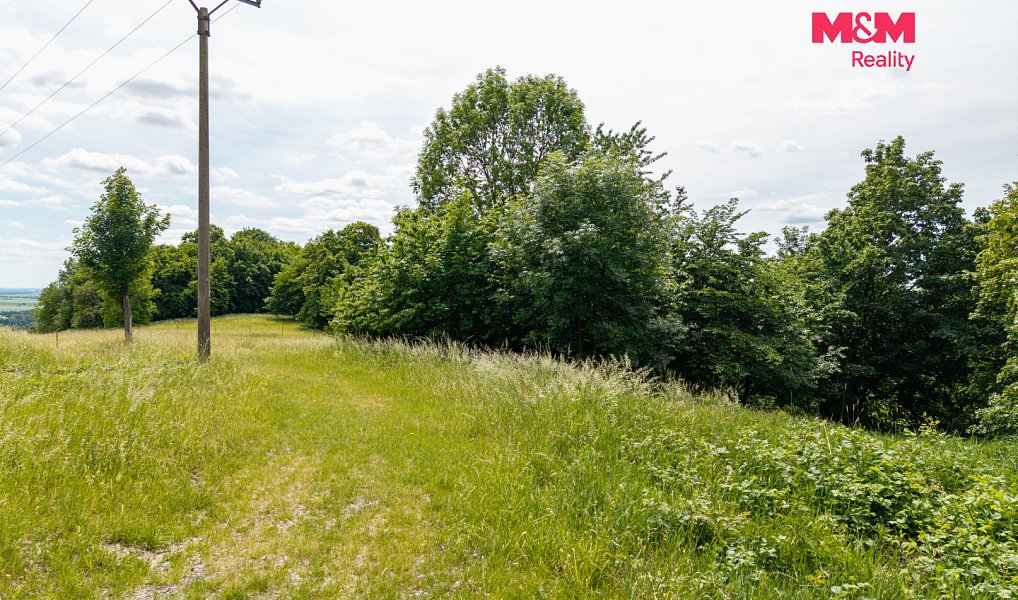 Prodej louky 13 358 m², Nosálov – náhled fotky 3