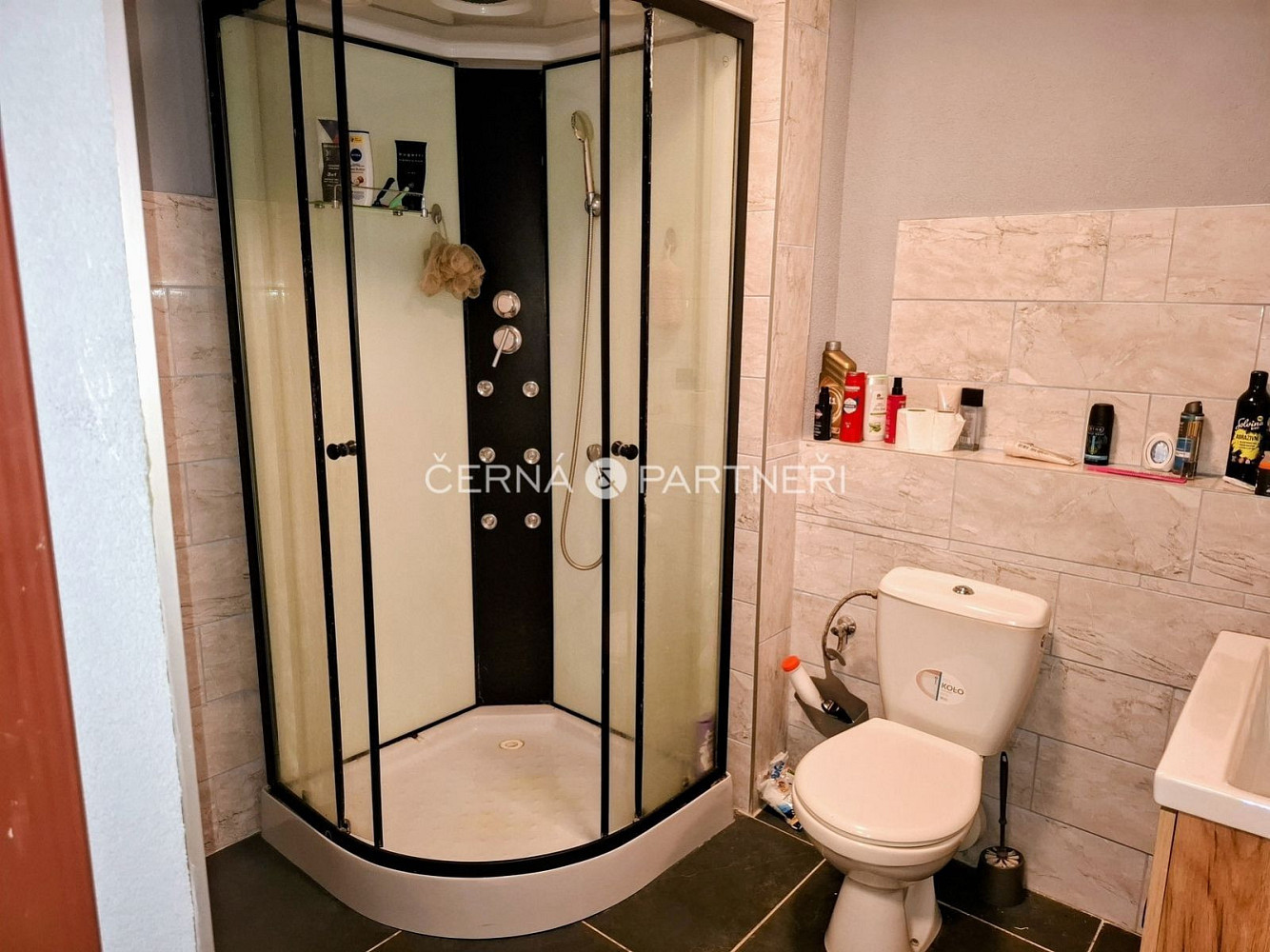 Prodej domu 540 m² s pozemkem 242 m² — photo 5