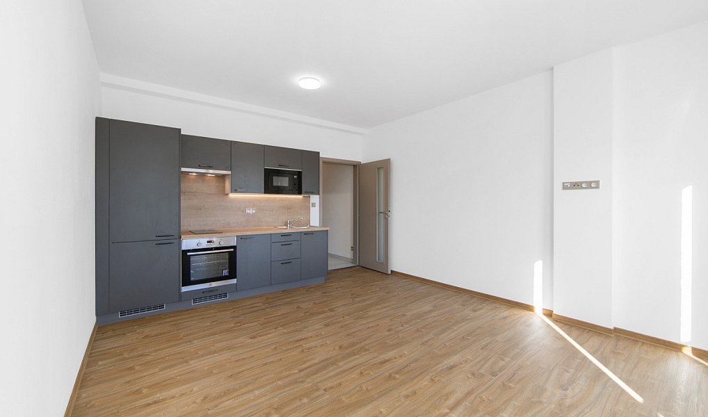 Pronájem bytu 1+kk 29 m², Zruč-Senec – náhled fotky 2