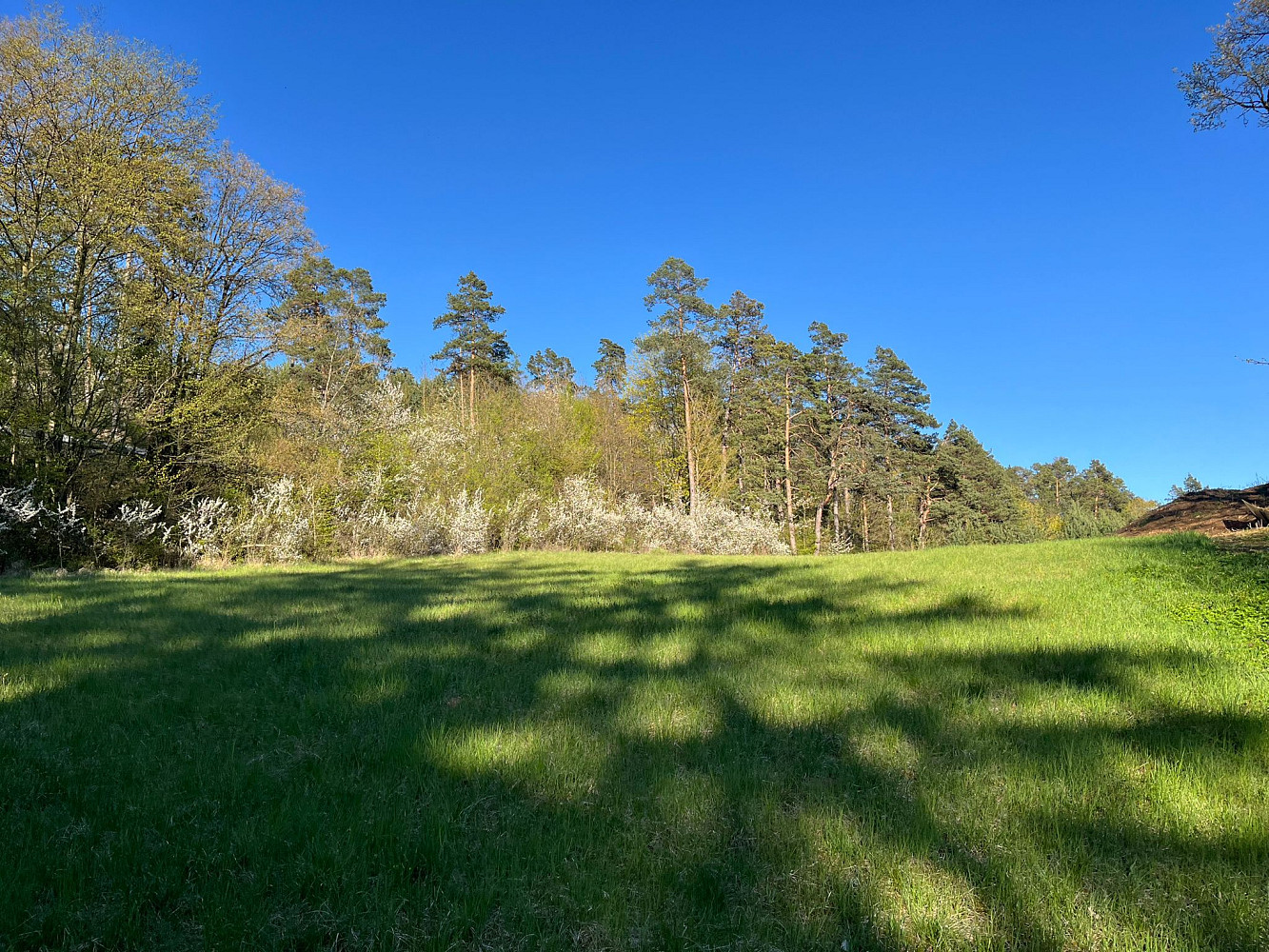 Prodej stavebního pozemku 3 287 m² – fotografie 2