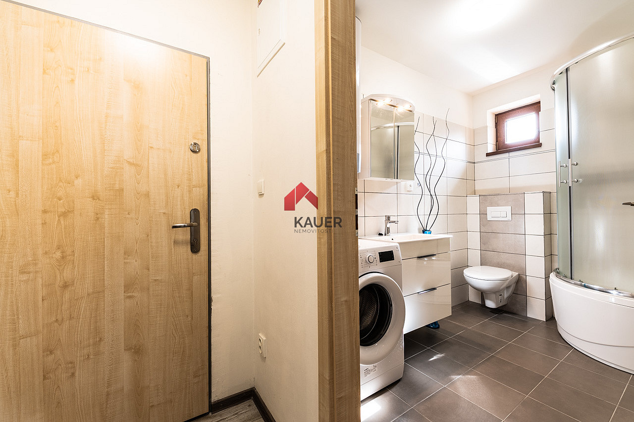 Pronájem bytu 1+kk 25 m² — photo 4