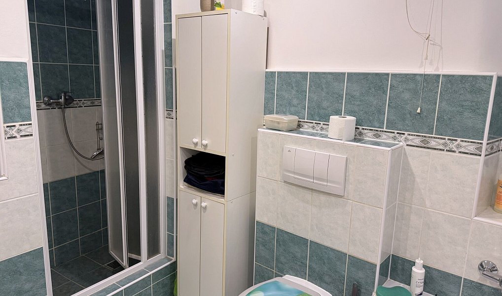 Prodej domu 369 m² s pozemkem 118 m², Loket – náhled fotky 6
