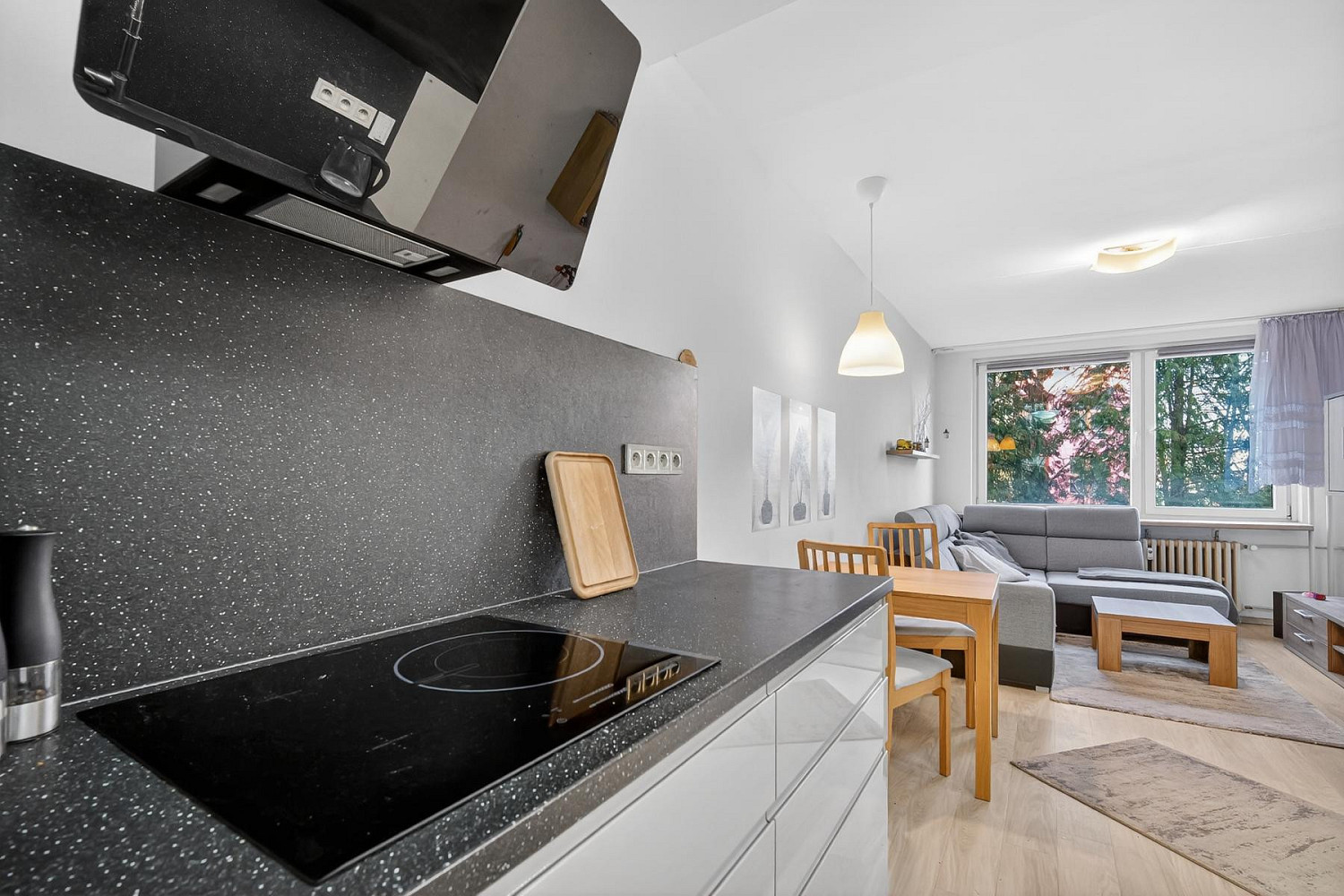 Pronájem bytu 2+kk 45 m² — photo 4
