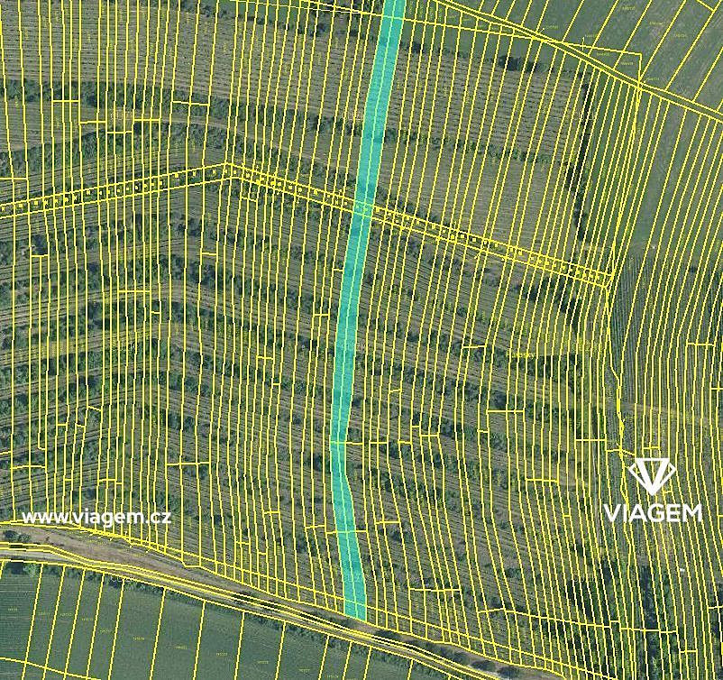 Prodej pole 4 651 m² – fotografie 2