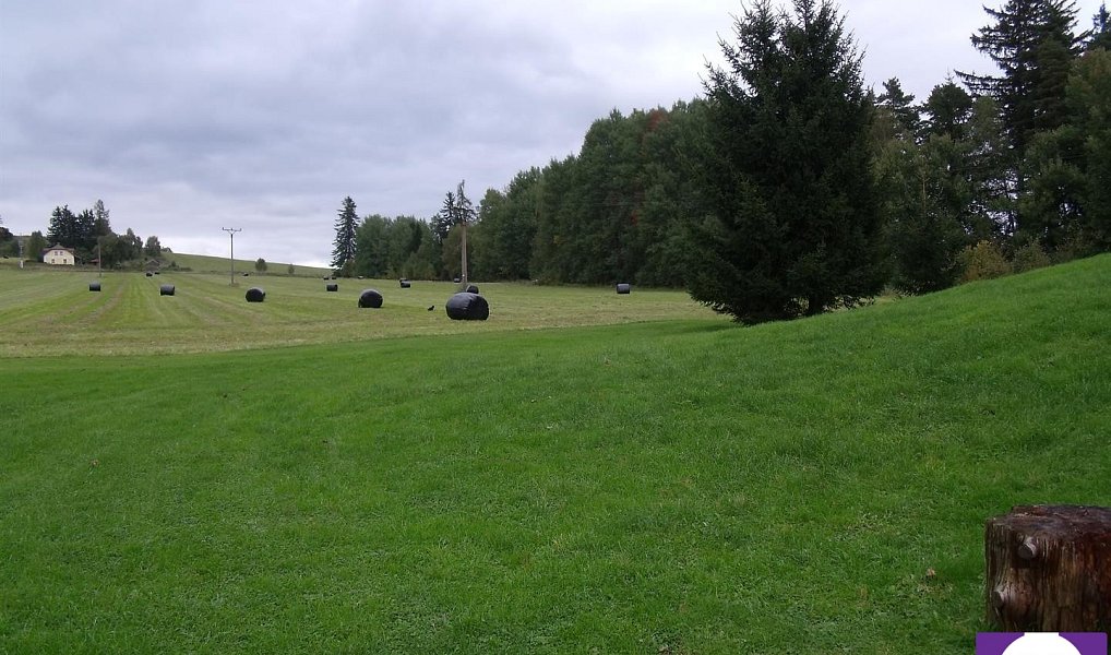 Prodej pozemku 3 860 m², Horní Planá – náhled fotky 4